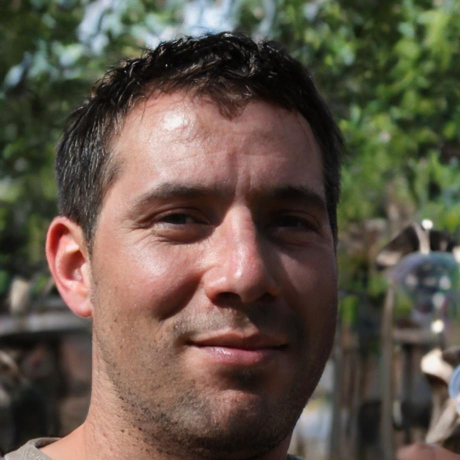 Hervé Lamont, Expert-comptable